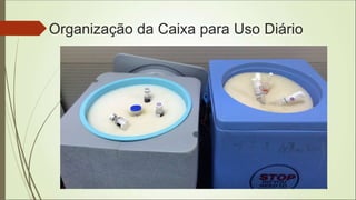 Organização da Caixa para Uso Diário
 