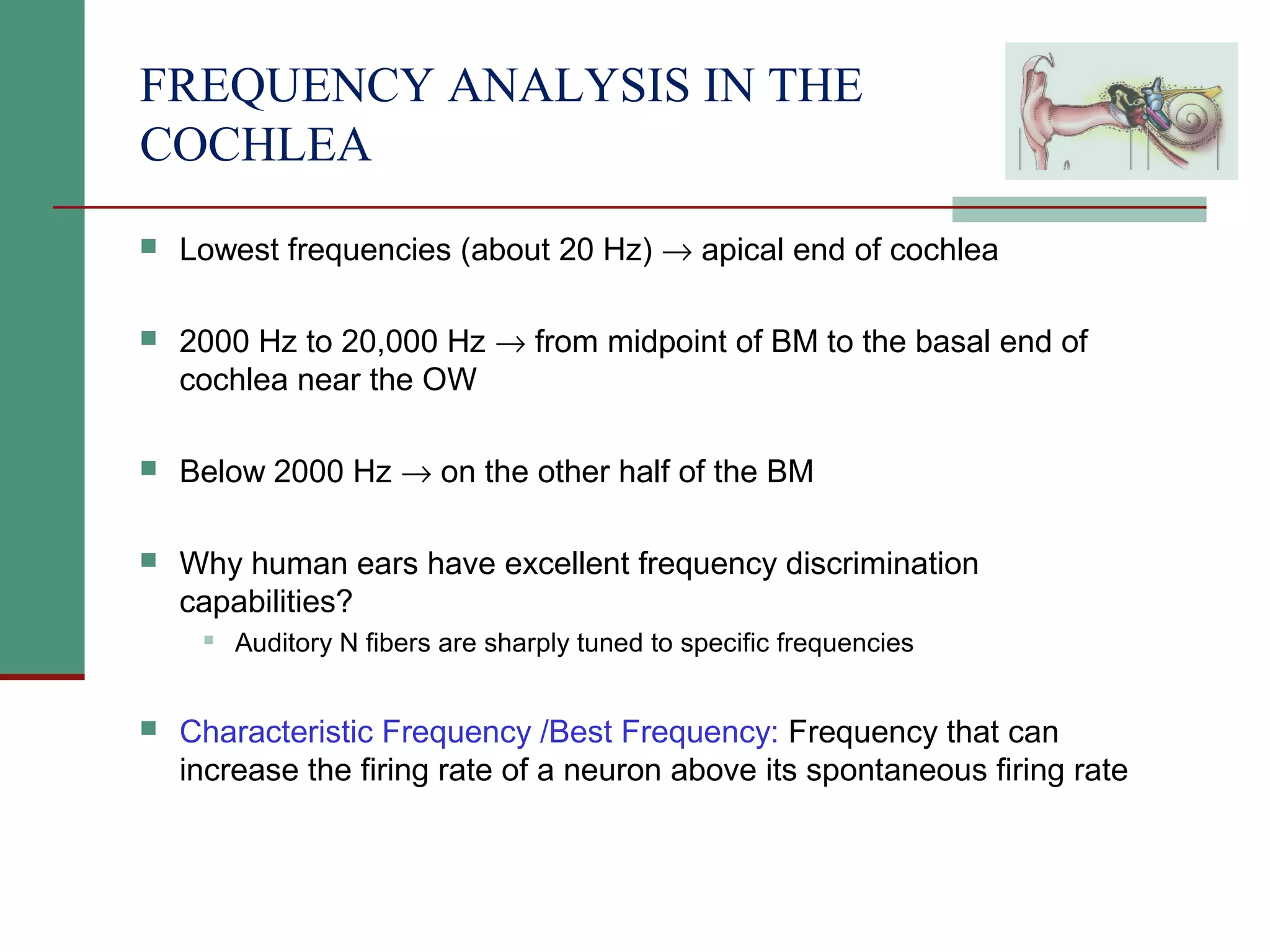 2(c) anatomy and physiology of the peripheral and central auditory ...