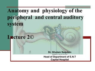 Anatomy and physiology of the
peripheral and central auditory
system
Lecture 2©
Dr. Ghulam Saqulain
M.B.B.S., D.L.O, F.C.P.S
Head of Department of E.N.T
Capital Hospital
 