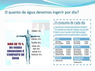 O quanto de água devemos ingerir por dia?
 