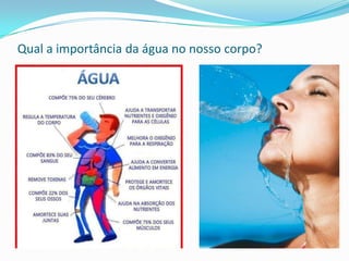 Qual a importância da água no nosso corpo?
 