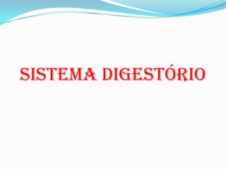 Sistema digestório
 