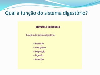 Qual a função do sistema digestório?
 