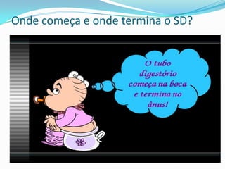 Onde começa e onde termina o SD?
 