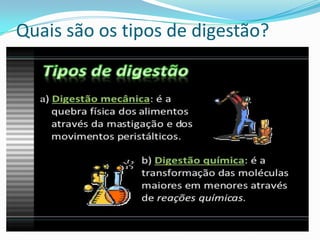 Quais são os tipos de digestão?
 