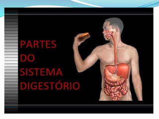 2 cap. 2 alimento e digestão. 8 ano