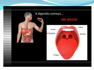 2 cap. 2 alimento e digestão. 8 ano