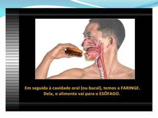 2 cap. 2 alimento e digestão. 8 ano