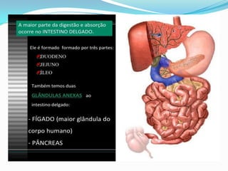 2 cap. 2 alimento e digestão. 8 ano