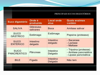 2 cap. 2 alimento e digestão. 8 ano