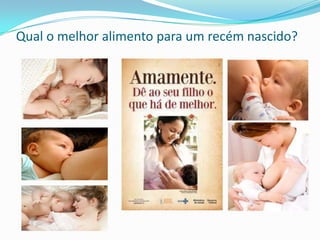 Qual o melhor alimento para um recém nascido?
 