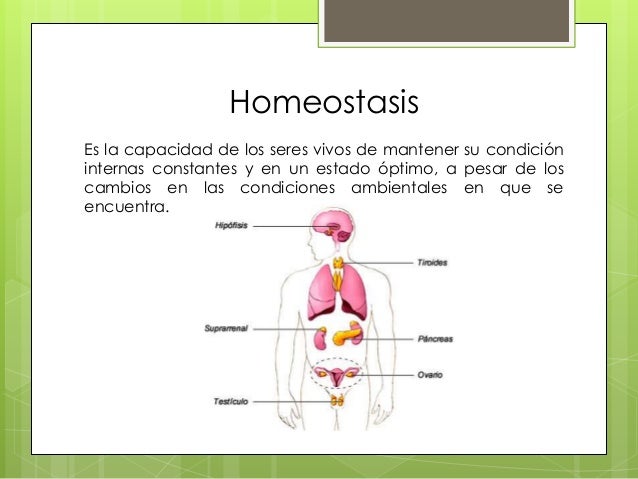 2 caract. seres vivos