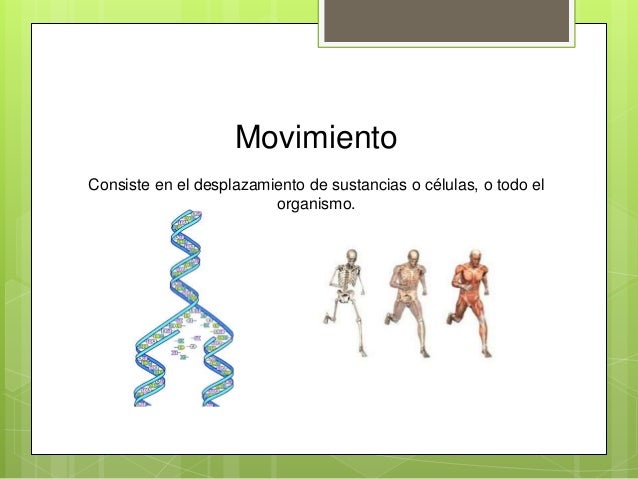características de los seres vivos
