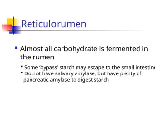 2 Carbohydrate Digestion- Metabolism.ppt