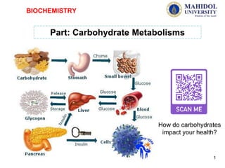 Part: Carbohydrate Metabolisms
BIOCHEMISTRY
1
How do carbohydrates
impact your health?
 