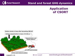Stand and forest GHG dynamics

              Application
               of CSORT
 