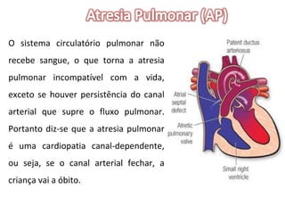 O sistema circulatório pulmonar não recebe sangue, o que torna a atresia pulmonar incompatível com a vida, exceto se houver persistência do canal arterial que supre o fluxo pulmonar. Portanto diz-se que a atresia pulmonar é uma cardiopatia canal-dependente, ou seja, se o canal arterial fechar, a criança vai a óbito. 