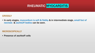 RHEUMATIC MYOCARDITIS
GROSSLY
▪ In early stages, myocardium is soft & flabby & in intermediate stage, small foci of
necrosis & aschkoff bodies can be seen.
MICROSCOPICALLY
▪ Presence of aschkoff cells
 