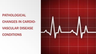 PATHOLOGICAL
CHANGES IN CARDIO-
VASCULAR DISEASE
CONDITIONS
 
