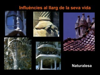 Influències al llarg de la seva vida




                          Naturalesa
 