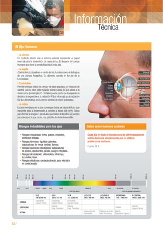Información
El Ojo Humano
12 /
· La córnea
En contacto directo con el entorno exterior representa un papel
esencial para la transmisión de rayos de luz. Es la parte del cuerpo
humano que tiene la sensibilidad táctil más alta.
· La pupila
(Controldeluz),situadaenelcentrodeliris,funcionacomoeldiafragma
de una cámara fotográfica. Su diámetro cambia en función de la
luminosidad.
· El cristalino
Permite enfocar (visión de cerca y de lejos) gracias a un músculo de
control. Con la edad este músculo pierde fuerza, lo que afecta a la
visión cerca (presbiopía). El cristalino puede perder su transparencia
debido a la exposición a la radiación IR (luz infrarroja) y a la radiación
UV (luz ultravioleta), produciendo pérdida de visión (cataratas).
· La retina
Es una membrana en la que convergen todos los rayos de luz y que
transmite toda la información al cerebro a través del nervio óptico
para formar la imagen.Las células quemadas de la retina se pierden
para siempre, lo que causa una pérdida de visión irreversible.
Riesgos industriales para los ojos
Riesgos mecánicos: polvo, golpes, impactos,
partículas sólidas.
Riesgos térmicos: líquidos calientes,
salpicaduras de metal fundido, llamas.
Riesgos químicos o biológicos: salpicaduras
de ácidos, disolventes, álcalis, sangre infectada.
Riesgos de radiación: ultravioleta, infrarroja,
luz visible, láser.
Riesgos eléctricos: contacto directo, arco eléctrico
en cortocircuito.
Datos sobre lesiones oculares
Cada día en todo el mundo más de 600 trabajadores
sufren lesiones simplemente por no utilizar
protectores oculares.
Fuente: BLS
Humor Acuoso
Músculo
Recto Superior
Humor Vítreo
Vaso Sanguíneo
Conductor Optico
Nervio Optico
Esclerótica
Retina
Músculo
Recto Inferior
Pupila
Cornea
Iris
Conjuntiva
Cristalino
Mácula Lútea
100nm
280nm
315nm
380nm
400nm
500nm
570nm
600nm
650nm
780nm
1400nm
2000nm
UV C UV B VIOLETA INDIGO AZUL VERDE AMARILLO ROJO IR CERCANO
ESPECTRO VISIBLE ESPECTRO INVISIBLE-INFRARROJO
IR CENTRALU.V.A.
CORNEA
UV C
100 a 200 nm
Conjuntivitis
Ceguera Parcial
Conjuntivitis
Ceguera Parcial
Catarata
Envej. Prematuro
Conjuntivitis
Ceguera Parcial
Catarata
Envej. Prematuro
Catarata
Ceguera Parcial
Catarata
Ceguera Parcial
Fotorretinitis
Problemas de Visión
Visión Discontinua
Retinitis
Pigmentosa Ceguera
UV B
280 a 315 nm
UV A
315 a 380 nm
LUZ AZUL
380 a 480 nm
LUZ VISIBLE
380 a 780 nm
IR CERCANO
780 a 1400 nm
IR CENTRAL
1400 a 2000 nm
CRISTALINO
RETINA
Técnica
 