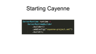 Starting Cayenne
 