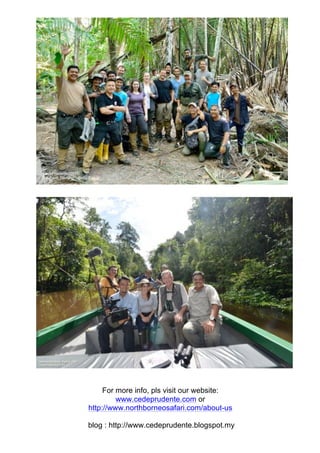 For more info, pls visit our website:
www.cedeprudente.com or
http://www.northborneosafari.com/about-us
blog : http://www.cedeprudente.blogspot.my
 