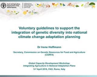 Voluntary guidelines to support the
integration of genetic diversity into national
climate change adaptation planning
Dr Irene Hoffmann
Secretary, Commission on Genetic Resources for Food and Agriculture
(CGRFA)
Global Capacity Development Workshop:
Integrating Agriculture in National Adaptation Plans
5-7 April 2016, FAO, Rome, Italy
 