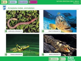 Arnasketa motak, animalietan LARRUAZAL-ARNASKETA ZAKATZ-ARNASKETA TRAKEA-ARNASKETA BIRIKA-ARNASKETA 