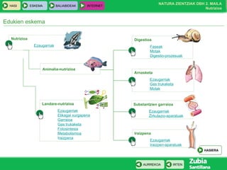 Edukien eskema Nutrizioa Ezaugarriak Digestioa Faseak Motak Digestio-prozesuak Arnasketa Ezaugarriak Gas trukaketa Motak Substantzien garraioa Ezaugarriak Zirkulazio-aparatuak Iraizpena Ezaugarriak Iraizpen-aparatuak Animalia-nutrizioa Landare-nutrizioa Ezaugarriak Elikagai xurgapena Garraioa Gas trukaketa Fotosintesia Metabolismoa I raizpena HASIERA 