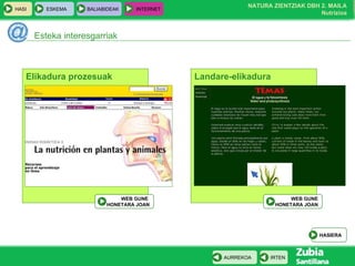 Esteka interesgarriak Elikadura prozesuak WEB GUNE  HONETARA JOAN Landare-elikadura WEB GUNE HONETARA JOAN HASIERA 