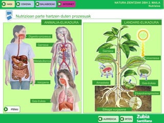 Nutrizioan parte hartzen duten prozesuak LANDARE-ELIKADURA ANIMALIA-ELIKADURA Digestio-prozesua Gas-trukea Garraioa Metabolismoa Iraizpena Fotosintesia Gas-trukea Elikagai xurgapena Arnasketa Garraioa Ebapotranspirazioa ITZULI 