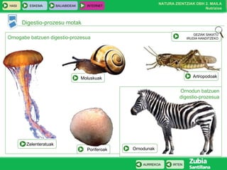 Digestio-prozesu motak Ornogabe batzuen digestio-prozesua Ornodun batzuen digestio-prozesua GEZIAK SAKATU IRUDIA HANDITZEKO Poriferoak Zelenteratuak Moluskuak Artropodoak Ornodunak 