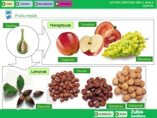 Obarioa Ezkurrak Fruitu motak Sagarrak Tomateak Mahatsak Intxaurrak Gaztainak Hurrak Lehorrak Haragitsuak 