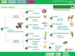 Edukien eskema Ugalketa Ezaugarriak Abantailak eta desabantailak Sexugabeko ugalketa Begetatiboa Esporak Artifiziala Ernalketa Kanpokoa Barnekoa Sexuzko ugalketa Ezaugarriak Txandakako ugalketa Ugalketa animalietan Ugalketa landareetan Enbrioi-garapena Ugalketa obiparoa Ugalketa bibiparoa Ugalketa obobibiparoa Enbrioi-ondorengo garapena Zuzena Zeharkakoa Sexuzko ugalketa Ezaugarriak Etapak Polinizazioa Ernalketa Fruitua Hazia Bizi-zikloa Ezaugarriak Bizi-zikloa Ezaugarriak Sexugabeko ugalketa Zatiketa Gemazioa Irudi zientifiko baten eraketa HASIERA 
