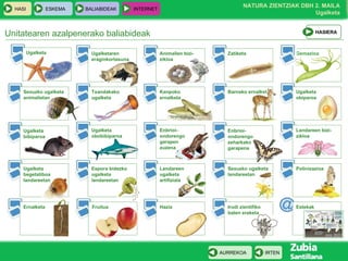 Unitatearen azalpenerako baliabideak Gemazioa HASIERA Ugalketa Ugalketaren eraginkortasuna Zatiketa Sexuzko ugalketa animalietan Txandakako ugalketa Kanpoko ernalketa Barneko ernalketa Ugalketa obiparoa Ugalketa bibiparoa Enbrioi-ondorengo garapen zuzena Animalien bizi-zikloa Ugalketa obobibiparoa Enbrioi-ondorengo zeharkako garapena Espora bidezko ugalketa landareetan Landareen bizi-zikloa Landareen ugalketa artifiziala Ugalketa begetatiboa landareetan Sexuzko ugalketa landareetan Polinizazioa Hazia Ernalketa Fruitua Irudi zientifiko baten eraketa Estekak 
