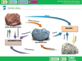 Harrien zikloa SEDIMENTUAK MAGMA HARRI SEDIMENTARIOA HARRI MAGMATIKOA HARRI METAMORFIKOA Urtzea Metamorfismoa Metamorfismoa Disgregazioa Disgregazioa Disgregazioa Litifikazioa Urtzea Urtzea Hoztea 