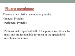 Plasma membrane
There are two distinct membrane proteins,
• Integral Proteins
• Peripheral Proteins
• Proteins make up about half of the plasma membrane by
mass and are responsible for most of the specialized
membrane functions
 