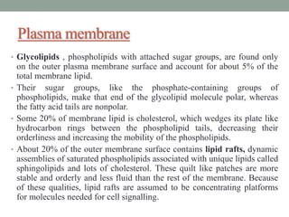 Plasma membrane
• Glycolipids , phospholipids with attached sugar groups, are found only
on the outer plasma membrane surface and account for about 5% of the
total membrane lipid.
• Their sugar groups, like the phosphate-containing groups of
phospholipids, make that end of the glycolipid molecule polar, whereas
the fatty acid tails are nonpolar.
• Some 20% of membrane lipid is cholesterol, which wedges its plate like
hydrocarbon rings between the phospholipid tails, decreasing their
orderliness and increasing the mobility of the phospholipids.
• About 20% of the outer membrane surface contains lipid rafts, dynamic
assemblies of saturated phospholipids associated with unique lipids called
sphingolipids and lots of cholesterol. These quilt like patches are more
stable and orderly and less fluid than the rest of the membrane. Because
of these qualities, lipid rafts are assumed to be concentrating platforms
for molecules needed for cell signalling.
 