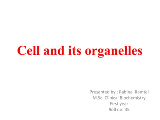 Cell and its organelles
Presented by : Rabina Ramtel
M.Sc. Clinical Biochemistry
First year
Roll no: 35
 