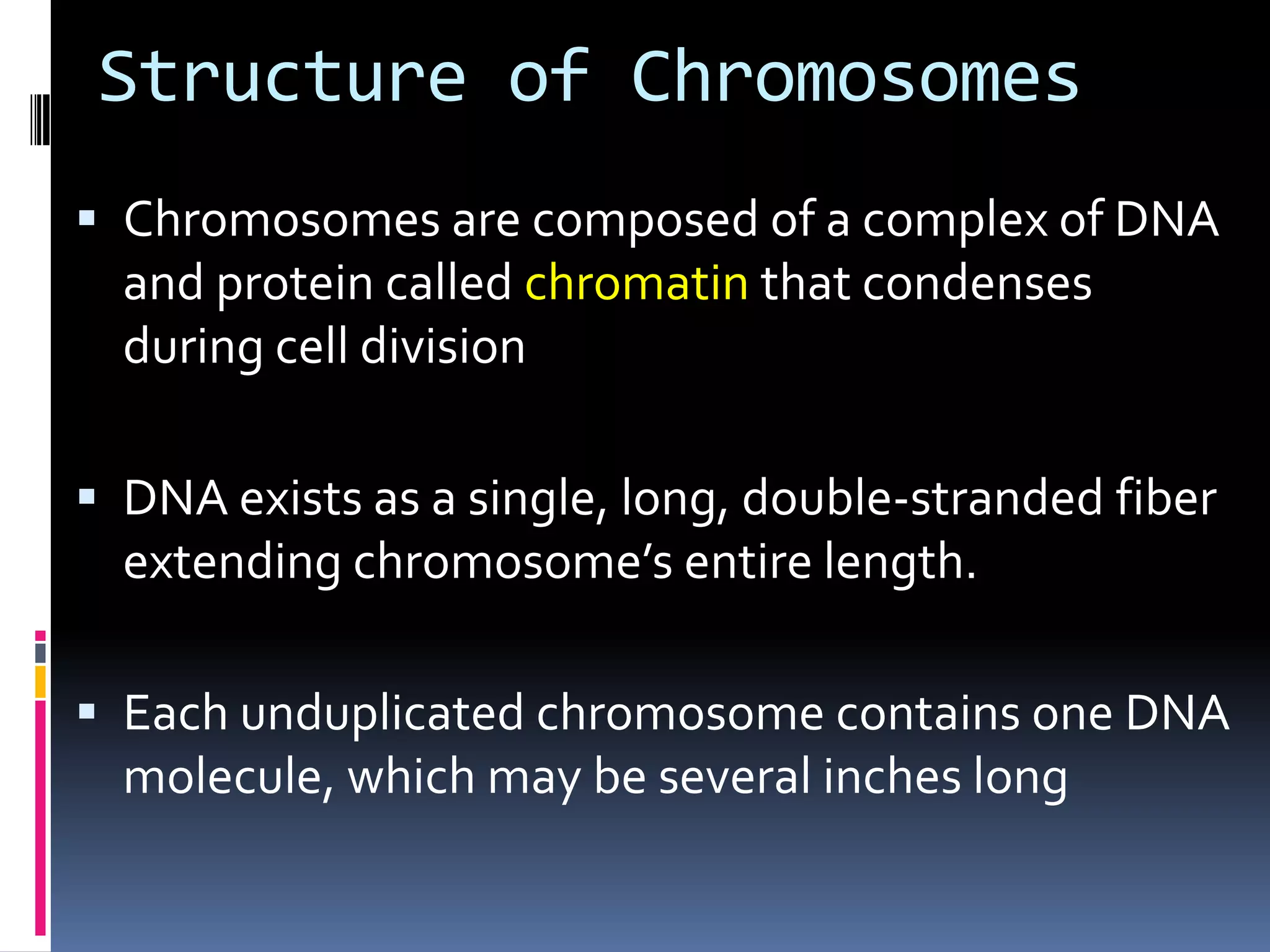 Structure of Chromosomes
 Chromosomes are composed of a complex of DNA
and protein called chromatin that condenses
during cell division
 DNA exists as a single, long, double-stranded fiber
extending chromosome’s entire length.
 Each unduplicated chromosome contains one DNA
molecule, which may be several inches long
 