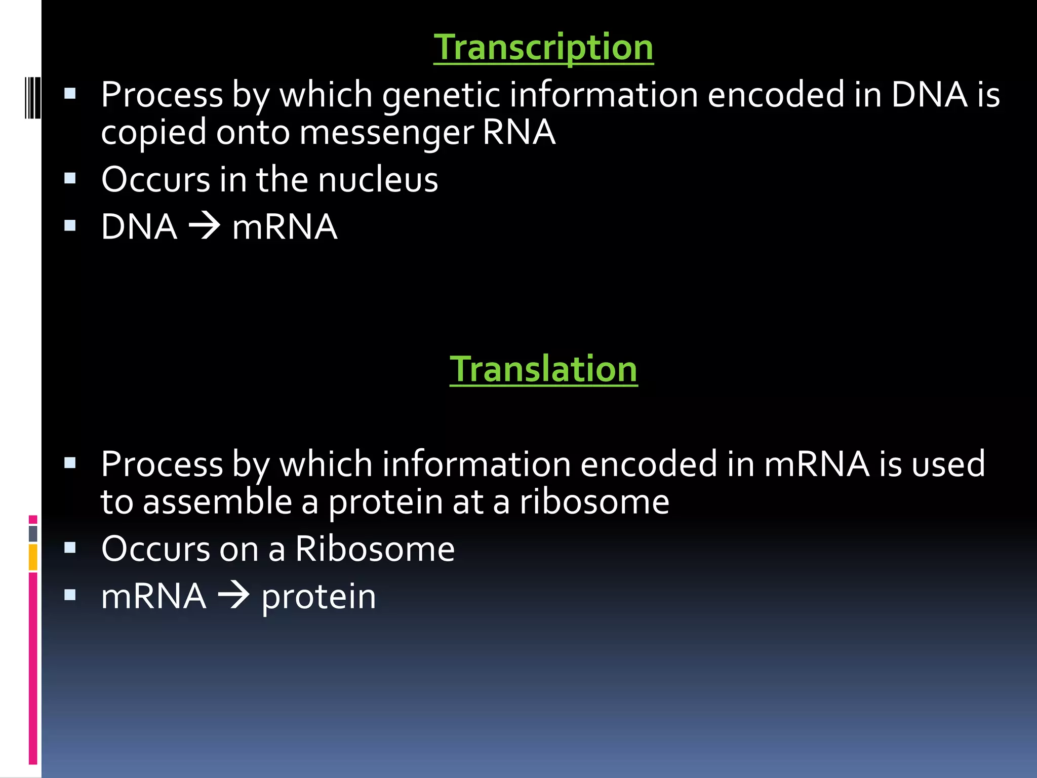Transcription
 Process by which genetic information encoded in DNA is
copied onto messenger RNA
 Occurs in the nucleus
 DNA  mRNA
Translation
 Process by which information encoded in mRNA is used
to assemble a protein at a ribosome
 Occurs on a Ribosome
 mRNA  protein
 