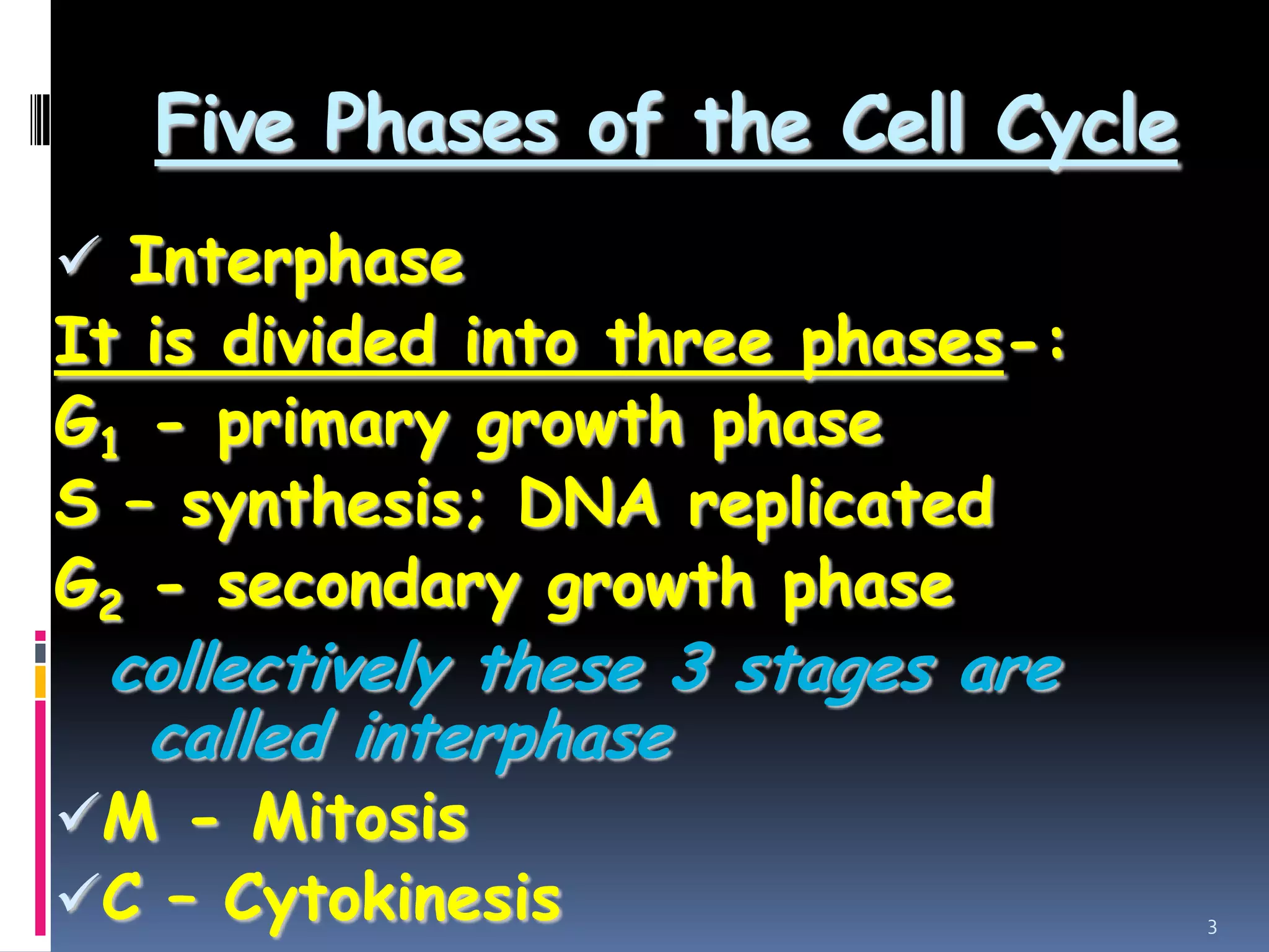 Five Phases of the Cell Cycle
 Interphase
It is divided into three phases-:
G1 - primary growth phase
S – synthesis; DNA replicated
G2 - secondary growth phase
collectively these 3 stages are
called interphase
M - Mitosis
C – Cytokinesis 3
 