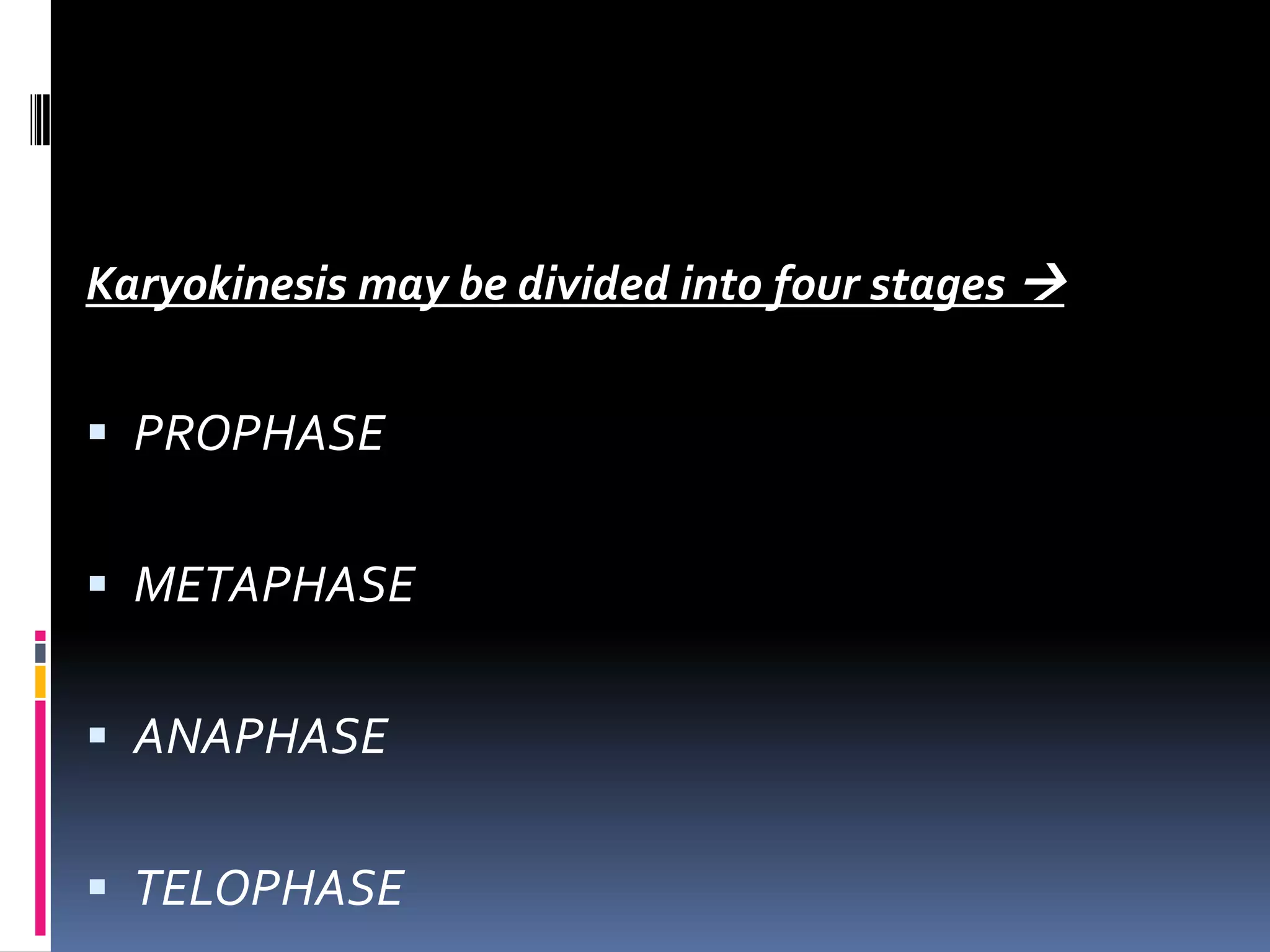Karyokinesis may be divided into four stages 
 PROPHASE
 METAPHASE
 ANAPHASE
 TELOPHASE
 