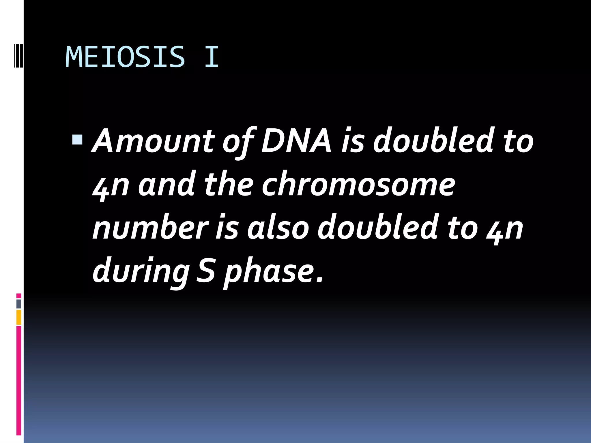 MEIOSIS I
 Amount of DNA is doubled to
4n and the chromosome
number is also doubled to 4n
during S phase.
 