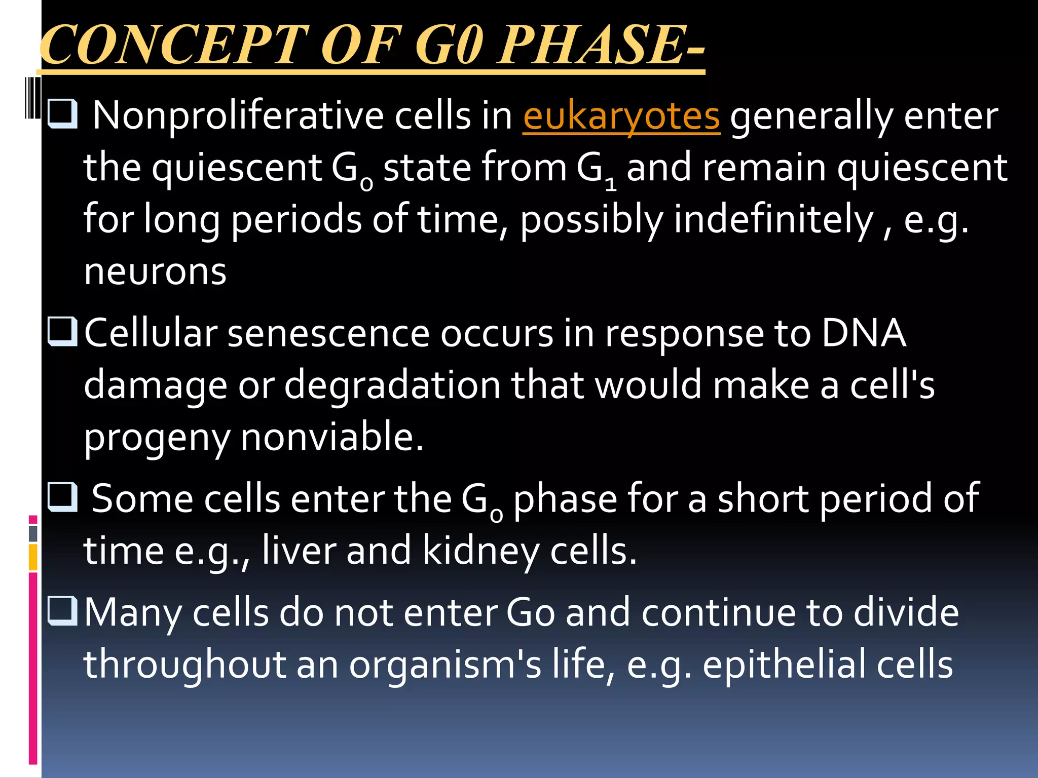 CONCEPT OF G0 PHASE-
 Nonproliferative cells in eukaryotes generally enter
the quiescent G0 state from G1 and remain quiescent
for long periods of time, possibly indefinitely , e.g.
neurons
Cellular senescence occurs in response to DNA
damage or degradation that would make a cell's
progeny nonviable.
 Some cells enter the G0 phase for a short period of
time e.g., liver and kidney cells.
Many cells do not enter G0 and continue to divide
throughout an organism's life, e.g. epithelial cells
 