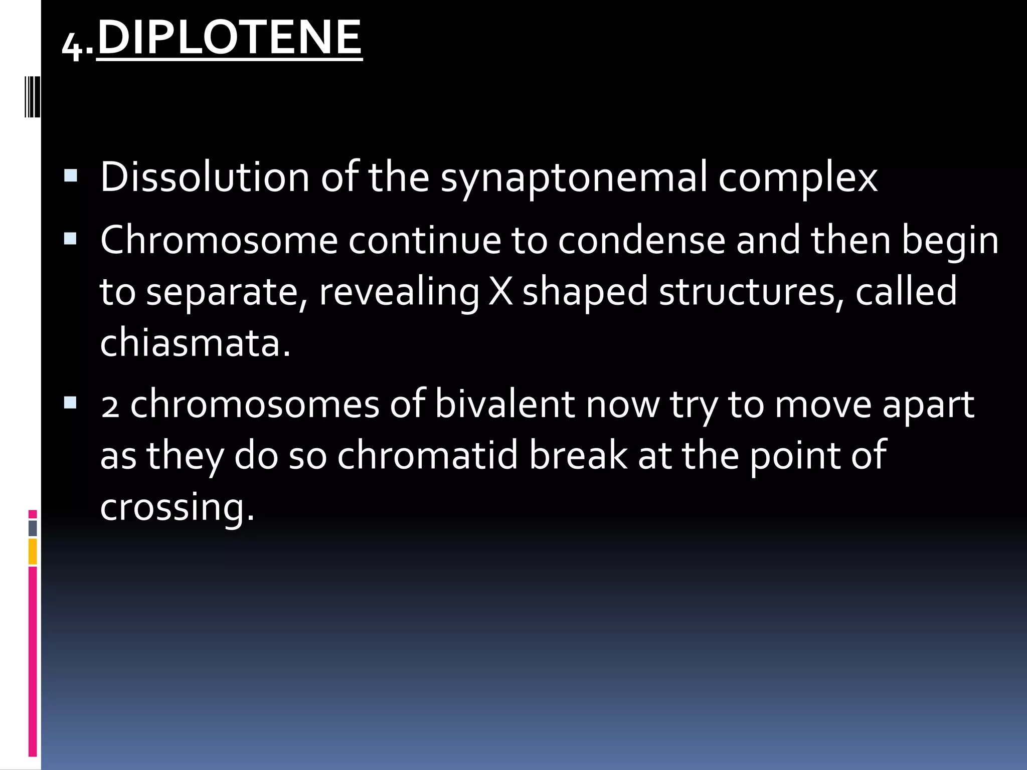 4.DIPLOTENE
 Dissolution of the synaptonemal complex
 Chromosome continue to condense and then begin
to separate, revealing X shaped structures, called
chiasmata.
 2 chromosomes of bivalent now try to move apart
as they do so chromatid break at the point of
crossing.
 