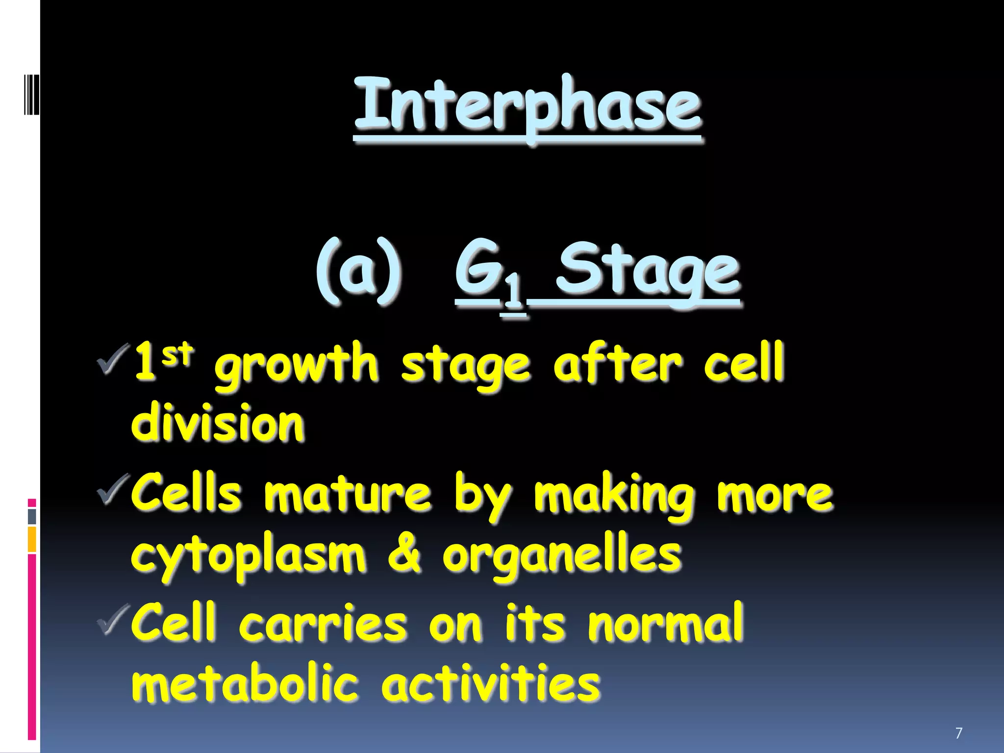 Interphase
(a) G1 Stage
1st growth stage after cell
division
Cells mature by making more
cytoplasm & organelles
Cell carries on its normal
metabolic activities
7
 