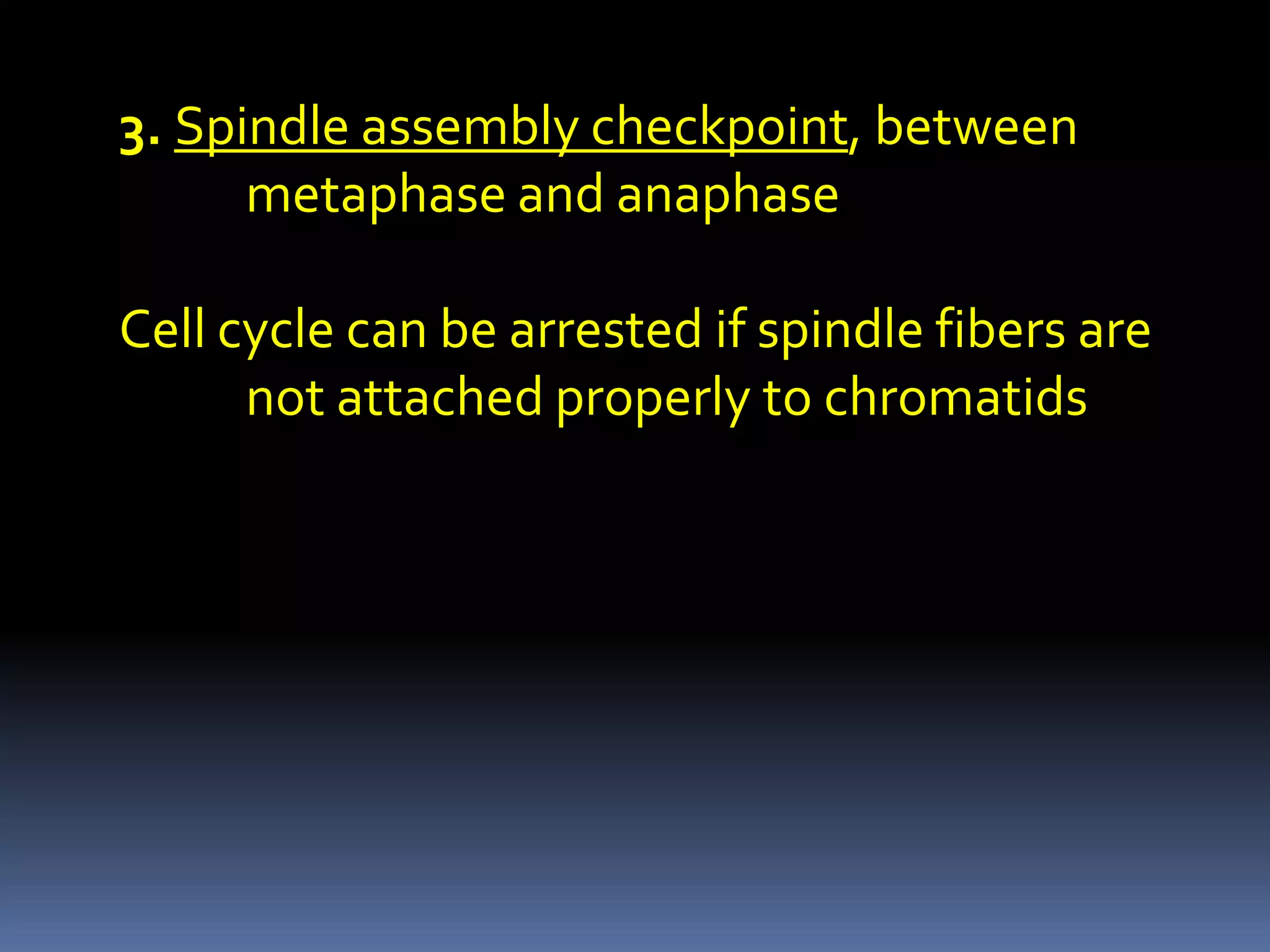 3. Spindle assembly checkpoint, between
metaphase and anaphase
Cell cycle can be arrested if spindle fibers are
not attached properly to chromatids
 