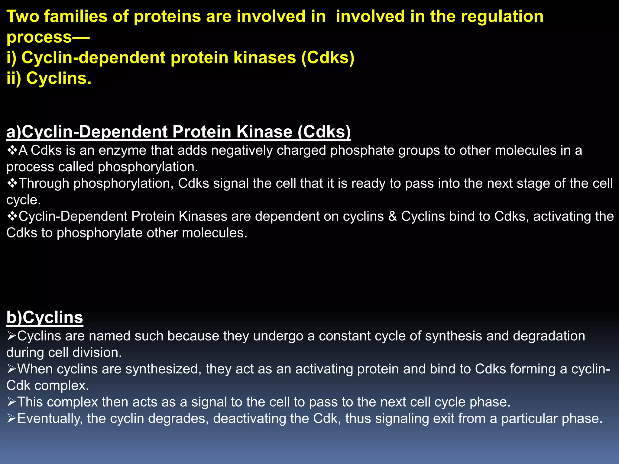 Two families of proteins are involved in involved in the regulation
process—
i) Cyclin-dependent protein kinases (Cdks)
ii) Cyclins.
a)Cyclin-Dependent Protein Kinase (Cdks)
A Cdks is an enzyme that adds negatively charged phosphate groups to other molecules in a
process called phosphorylation.
Through phosphorylation, Cdks signal the cell that it is ready to pass into the next stage of the cell
cycle.
Cyclin-Dependent Protein Kinases are dependent on cyclins & Cyclins bind to Cdks, activating the
Cdks to phosphorylate other molecules.
b)Cyclins
Cyclins are named such because they undergo a constant cycle of synthesis and degradation
during cell division.
When cyclins are synthesized, they act as an activating protein and bind to Cdks forming a cyclin-
Cdk complex.
This complex then acts as a signal to the cell to pass to the next cell cycle phase.
Eventually, the cyclin degrades, deactivating the Cdk, thus signaling exit from a particular phase.
 